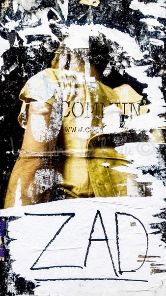 laureline-affiche-dechirees-zad